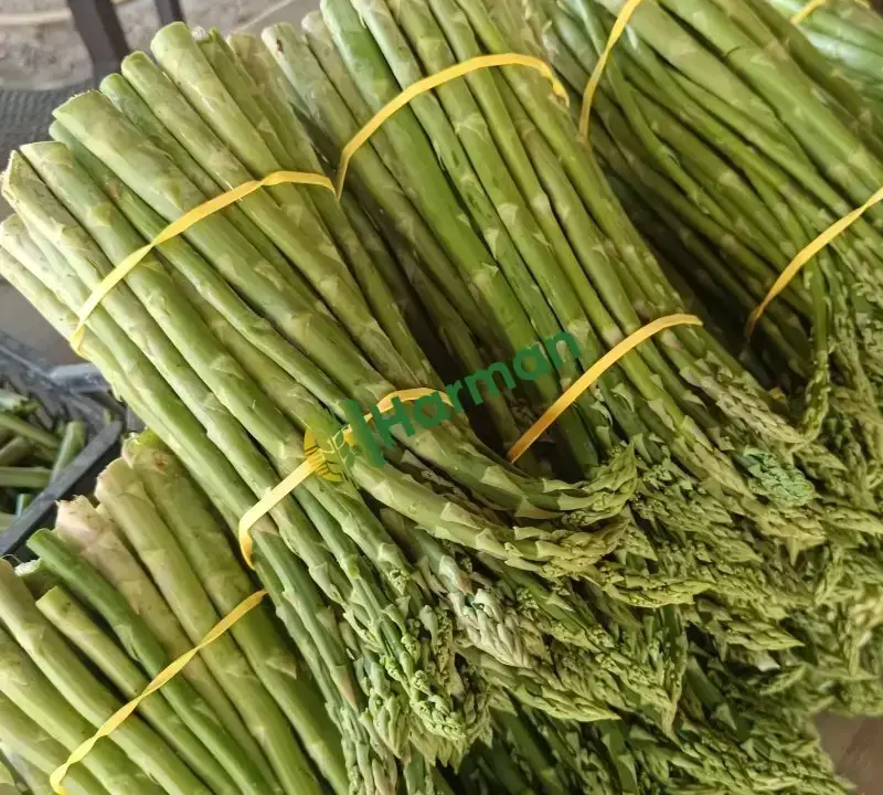 KUŞKONMAZ hal fiyatı