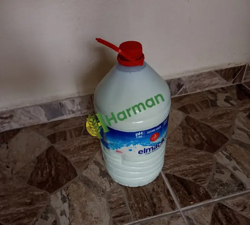 Günlük süt