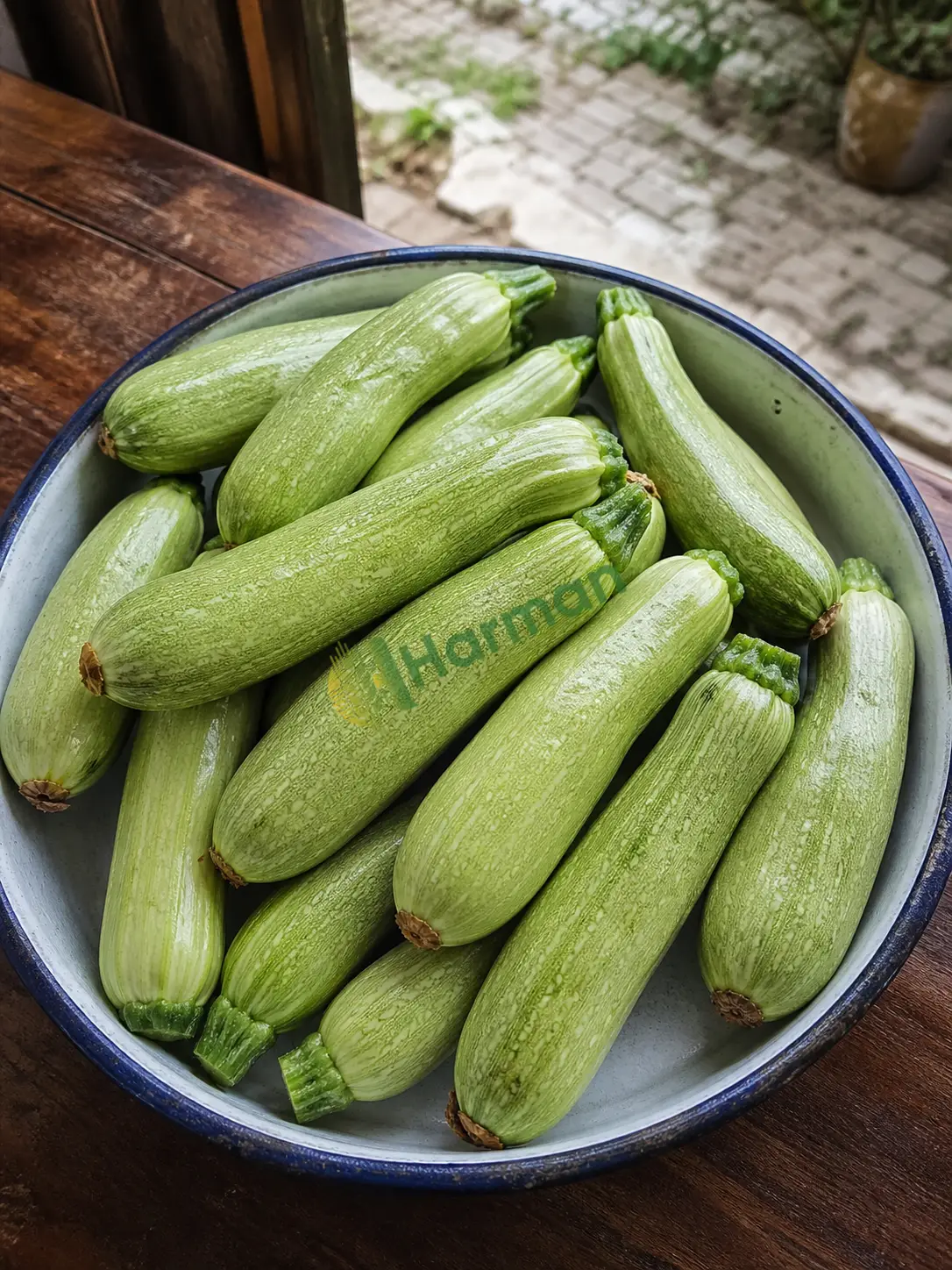 Günlük taze kabak