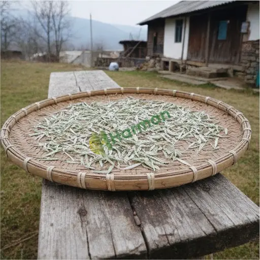 Hakkari Merkez beyaz çay alınır