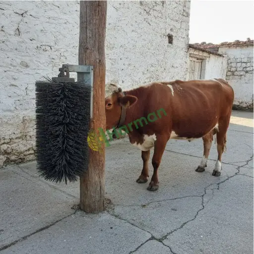 Kırıkkale Balışeyh hayvan kaşıma fırçası arıyorum