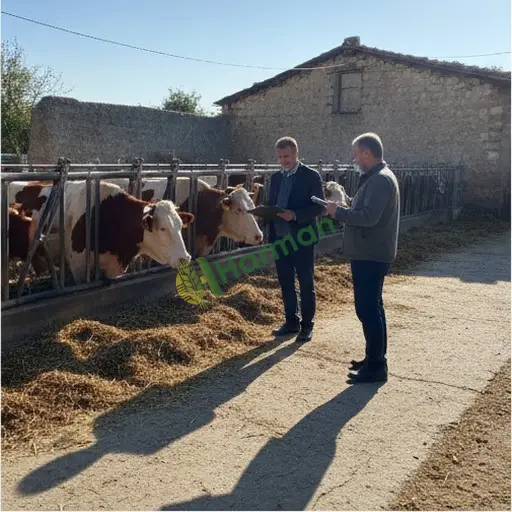 Bayburt Merkez'de Uzman Hayvancılık Danışmanlığı Arıyorum