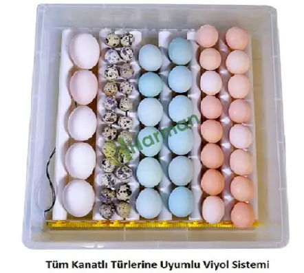 Hobi Kaz Kuluçka Makinesi