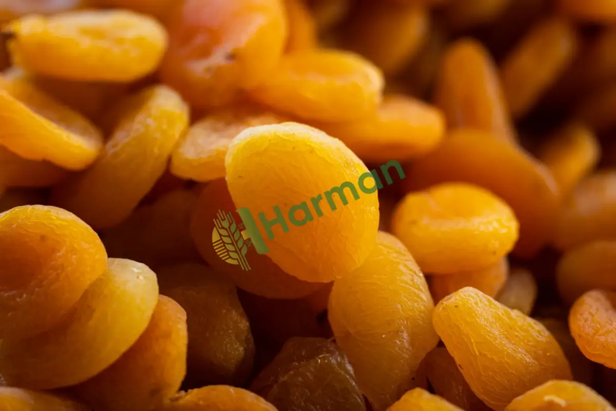 Hoşaflık ve marmelatlık kuru kayısı- Mersin Merkez