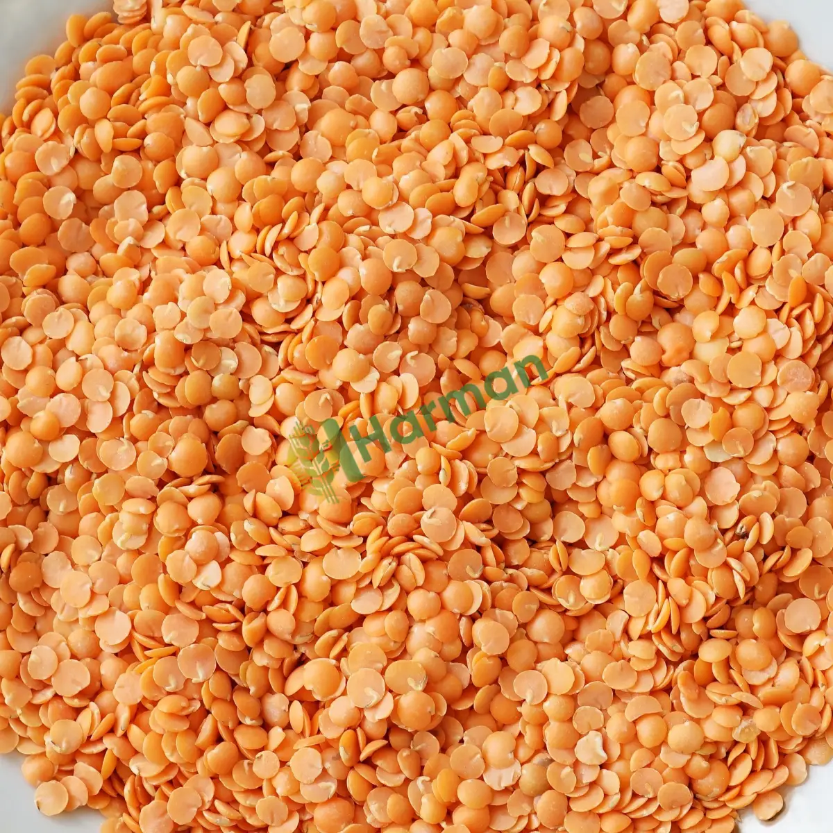 Kamyon bazında kırmızı mercimek, satılık - Iğdır Aralık