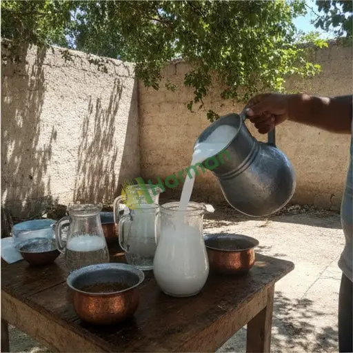 Ayran aranıyor - Iğdır Tuzluca
