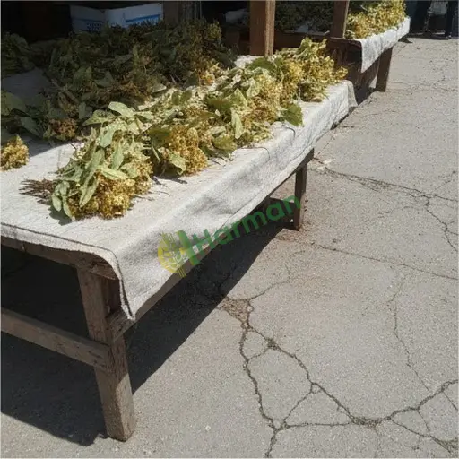Van Çaldıran'da ıhlamur lazım