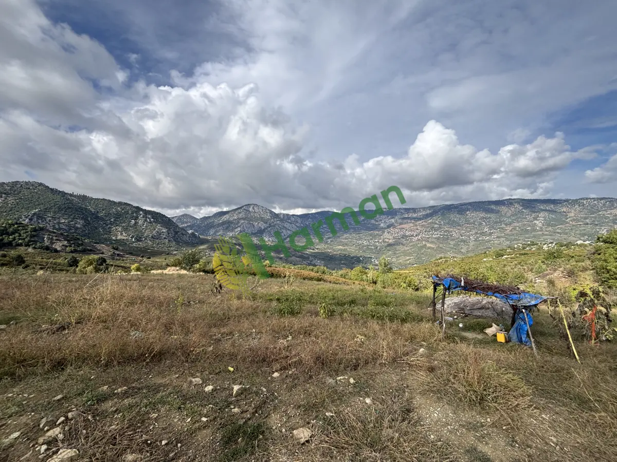 𝗦𝗔𝗛İ𝗕İ𝗡𝗗𝗘𝗡 𝗦𝗔𝗧𝗜𝗟𝗜𝗞 Ş𝗘𝗙𝗧𝗔𝗟İ 𝗕𝗔𝗛Ç𝗘𝗦İ