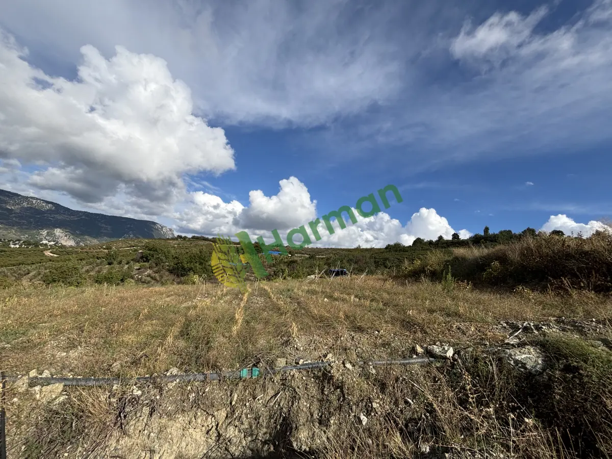 𝗦𝗔𝗛İ𝗕İ𝗡𝗗𝗘𝗡 𝗦𝗔𝗧𝗜𝗟𝗜𝗞 Ş𝗘𝗙𝗧𝗔𝗟İ 𝗕𝗔𝗛Ç𝗘𝗦İ