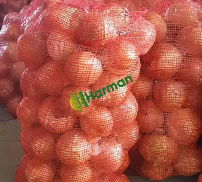 İran soğanı kaliteli