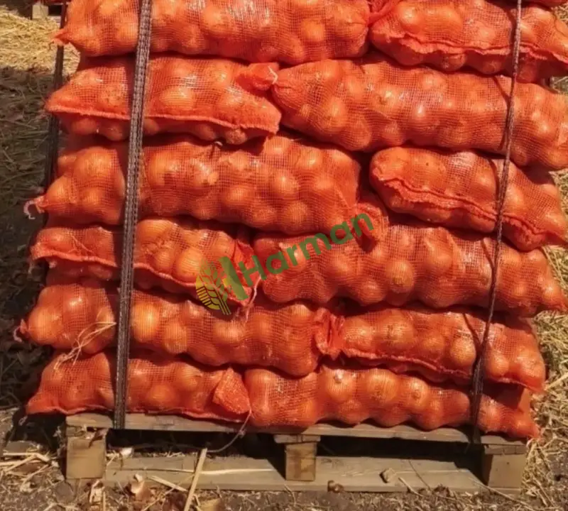 İthal Ürün Soğan