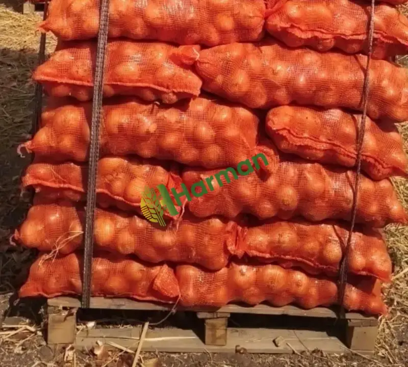İthal Ürün Soğan