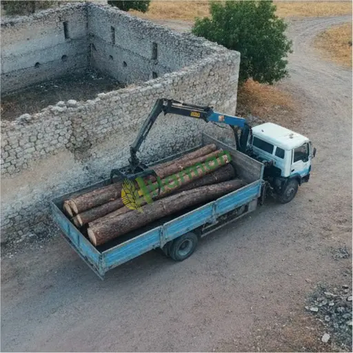 İzmir Çeşme Satılık Tomruk Taşıma Vinç