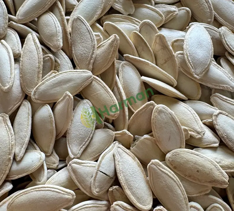 Kabak çekirdeği alımı devam ediyor
