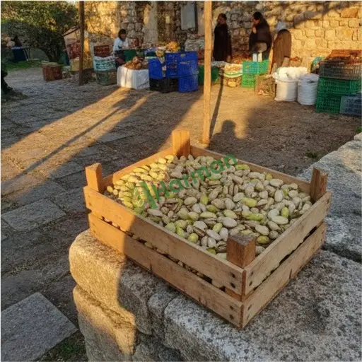 Iğdır Aranan Fıstık (Merkez)