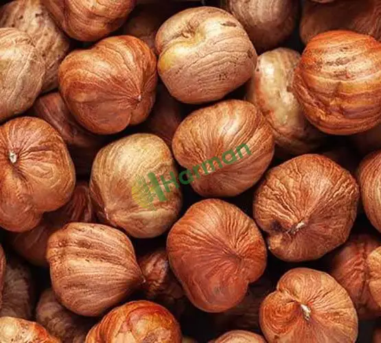 Kabuklu, kabuksuz, kavrulmuş, naturel,kıyılmış, toz