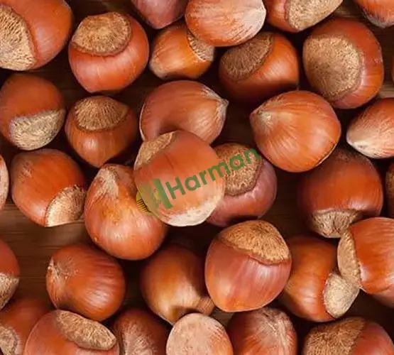 Kabuklu, kabuksuz, kavrulmuş, naturel,kıyılmış, toz