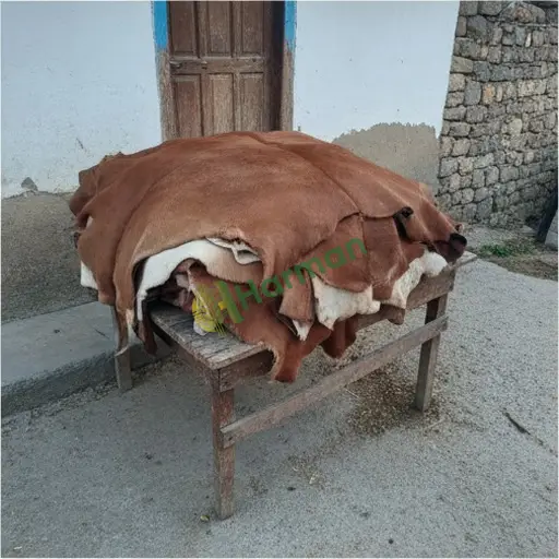Kahramanmaraş Pazarcık sığır derisi alınır