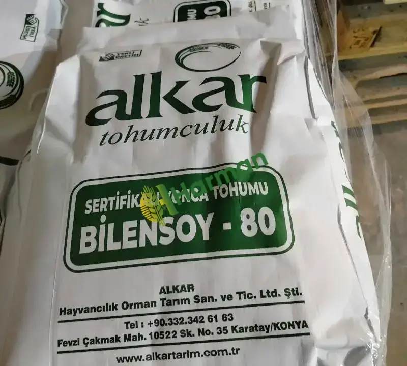 Kaplamasiz Bilensoy 80