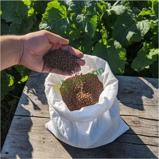 Karabük Eskipazar'da 4982 kg şalgam tohumu lazım