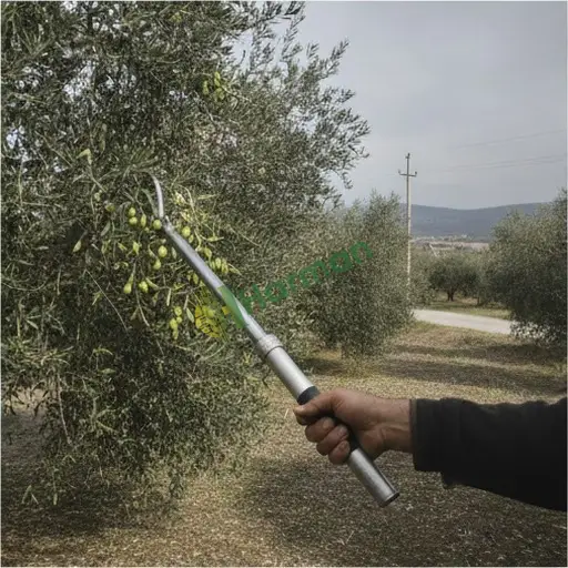 Ağaç Silkeleme Makinesi Aranan / Karaman Ermenek