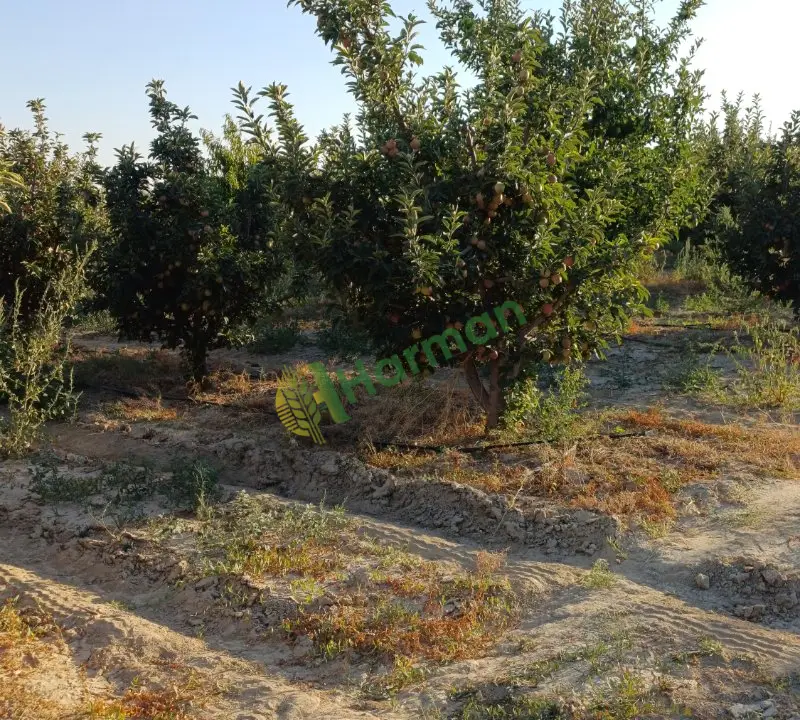 Karaman Akçaşehir
