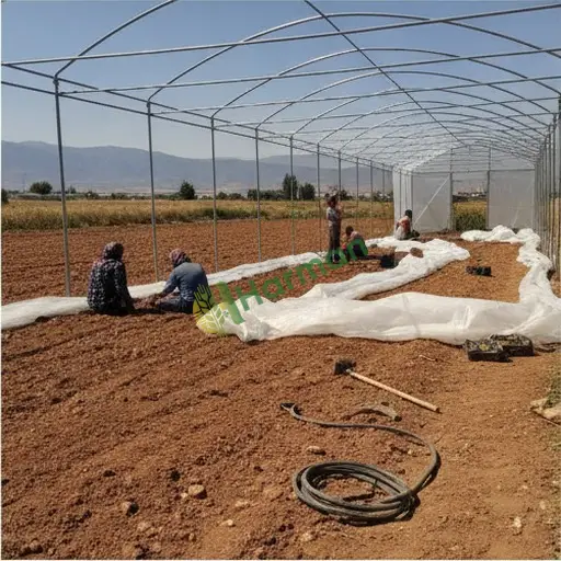 Karaman Sarıveliler'de sera kurulumu yaptırılacak