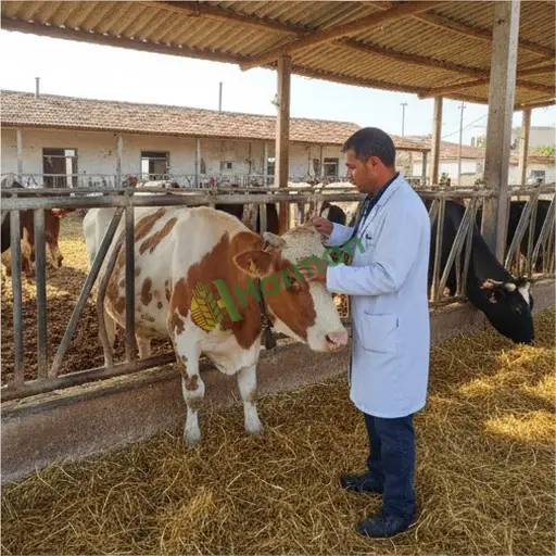 Karaman Aranan Veteriner Danışmanlığı (Ayrancı)