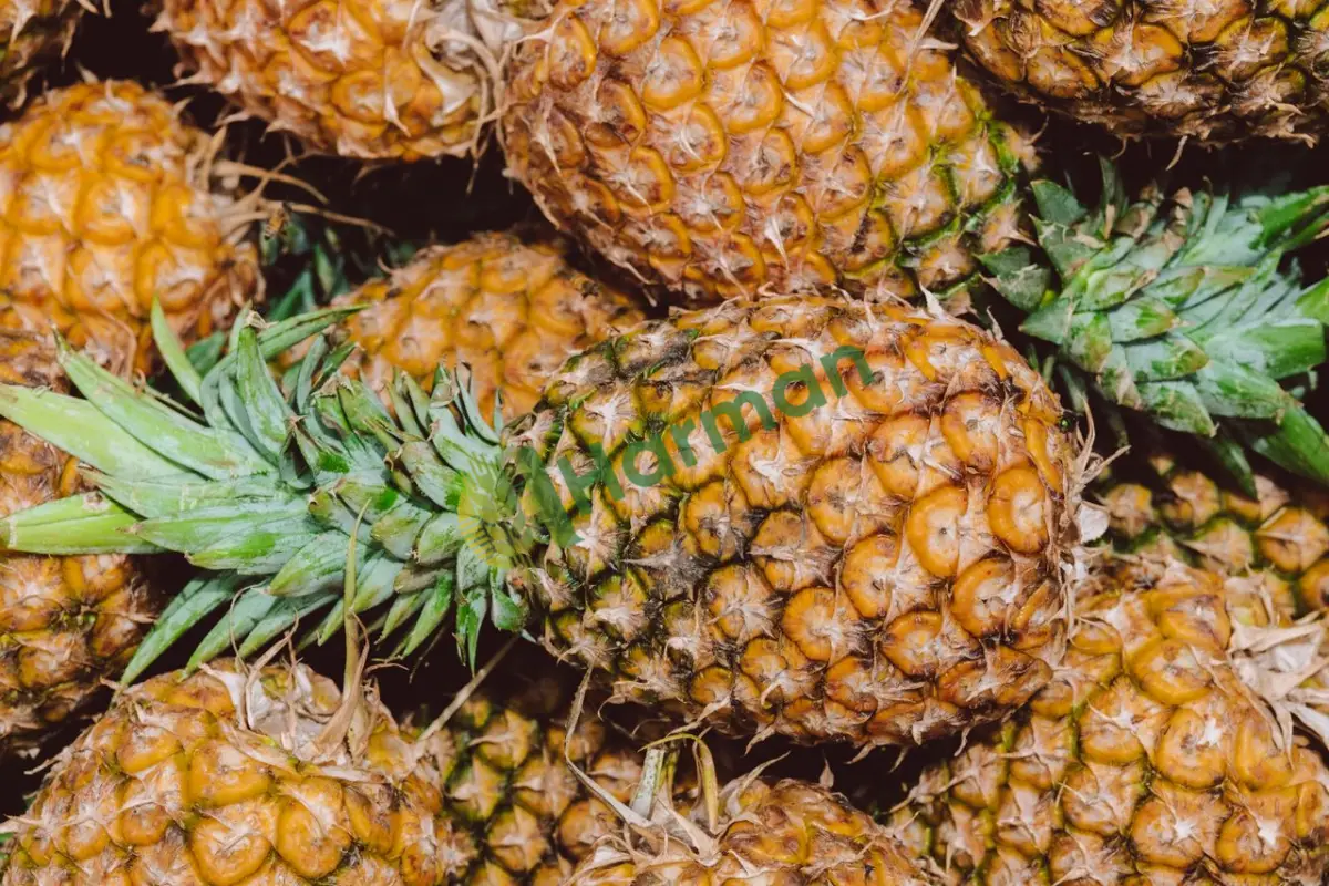Kasalı taze kesim coğrafi işaretli ithal ananas - Kırklareli Pehlivanköy