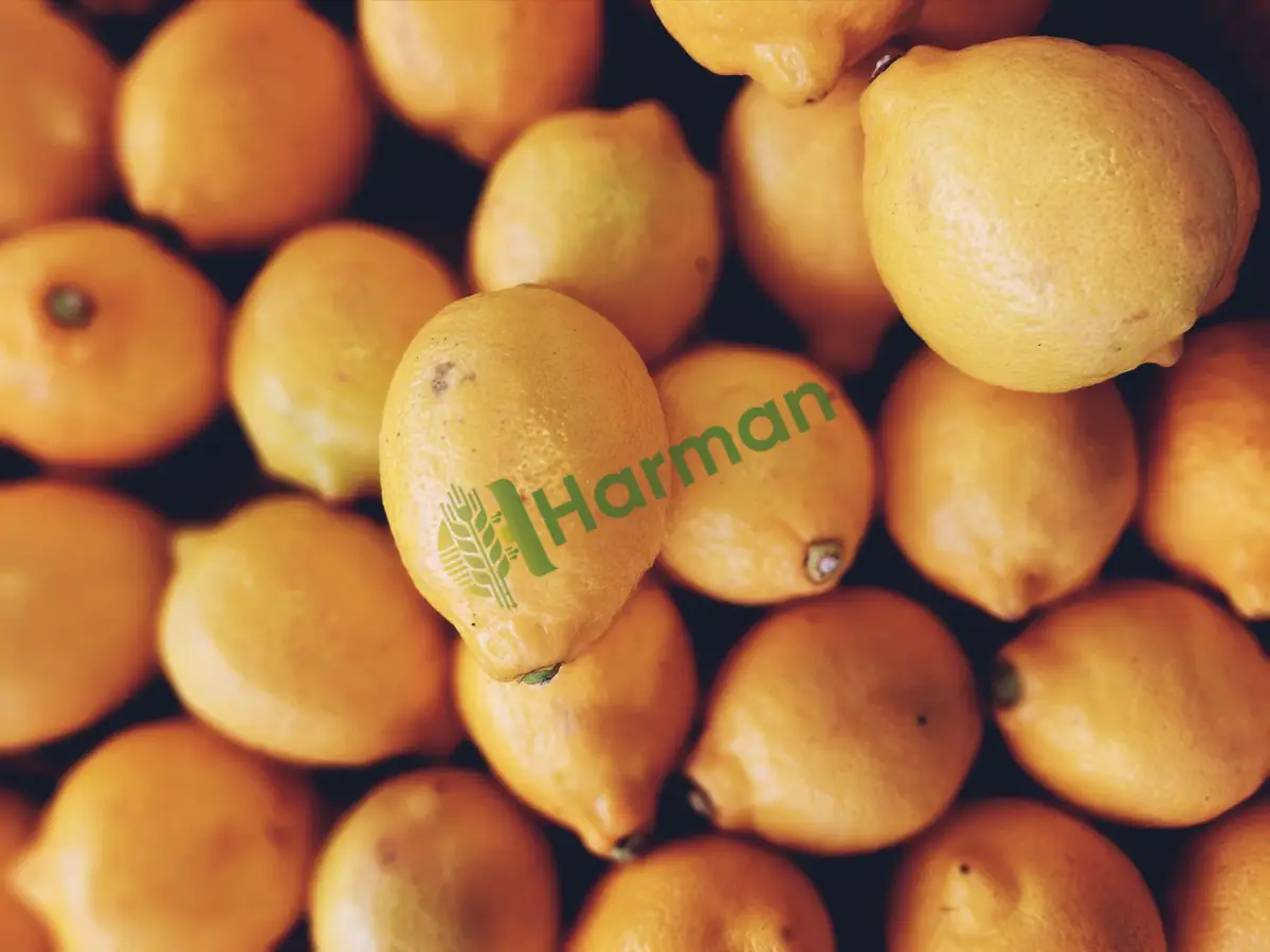 Kasalı veya dökme mayer limon alınır - Ağrı Eleşkirt