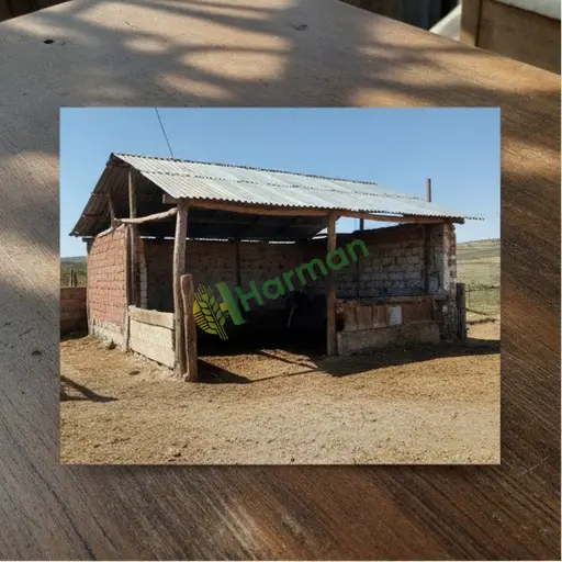 Kastamonu Araç hayvan barınağı satılık
