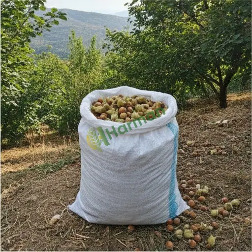 Kayseri'de 39 Ton Fındık Aranan