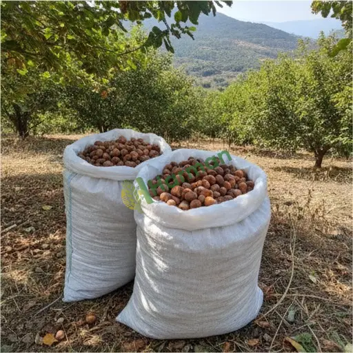 Aranan Fındık, Kayseri Pınarbaşı