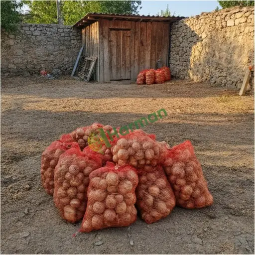 Kayseri Develi · Aranan Kuru Soğan