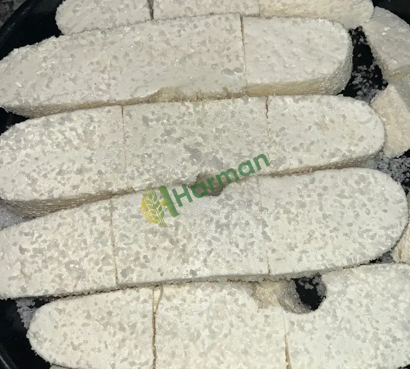 Keçi peyniri