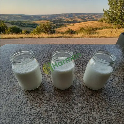 Aydın Karpuzlu'da kefir lazım