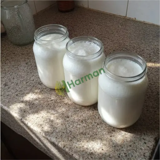 Çanakkale Gelibolu'da kefir alınacak