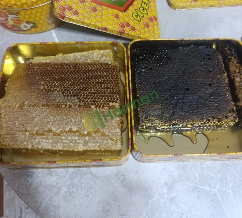 Kekik balı