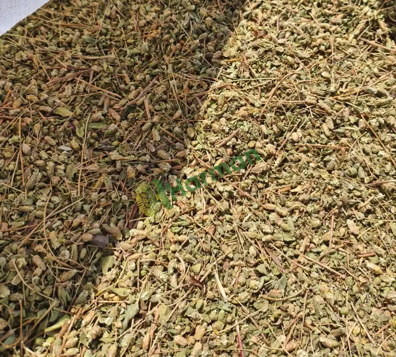 Kekik - 2