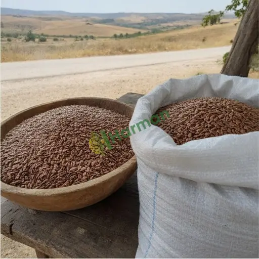 Afyonkarahisar Başmakçı'da Keten Tohumu Alınır