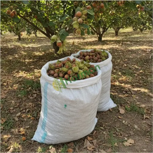 Kars Arpaçay'da fındık satılır