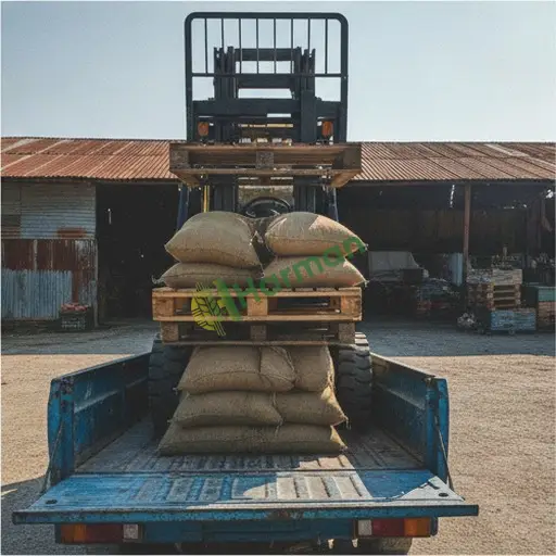 Bartın Amasra'da forklift satılık ya da kiralık