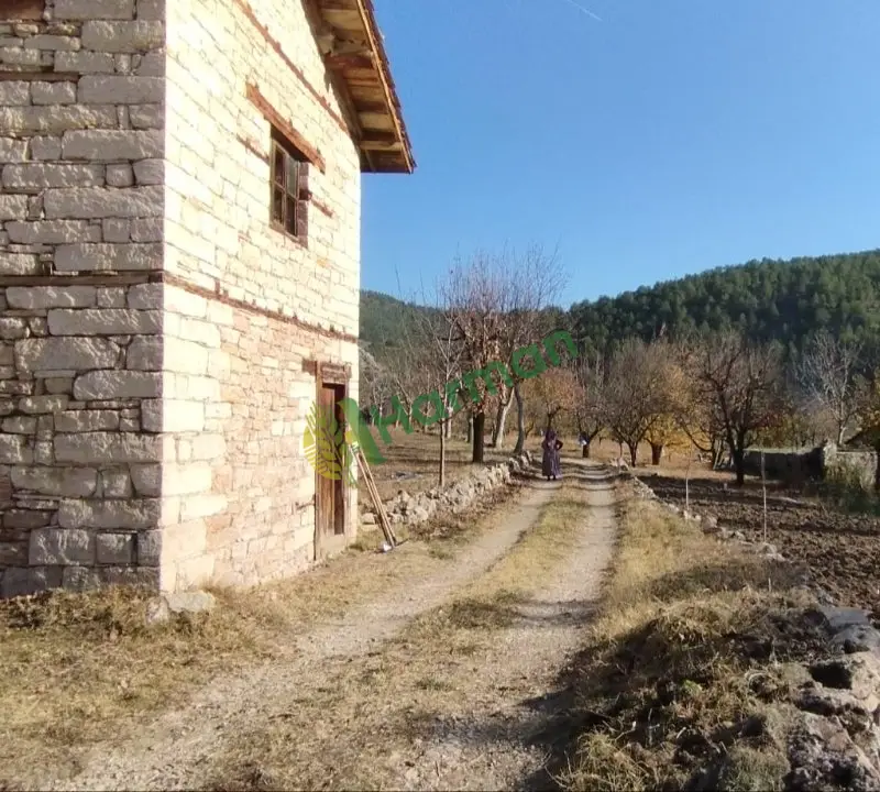 kiraz bahçesi satılık