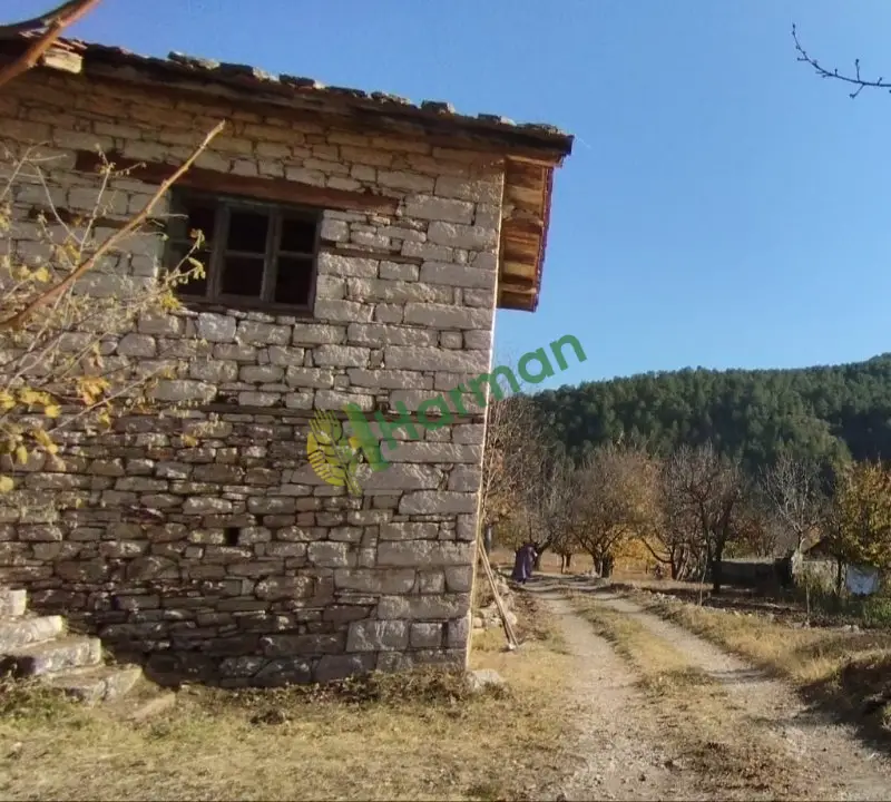 kiraz bahçesi satılık