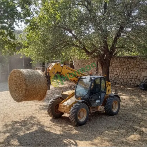 Kırıkkale Balışeyh'te telehandler satılık