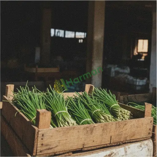 Kırklareli Merkez'de Frenk soğanı satılık