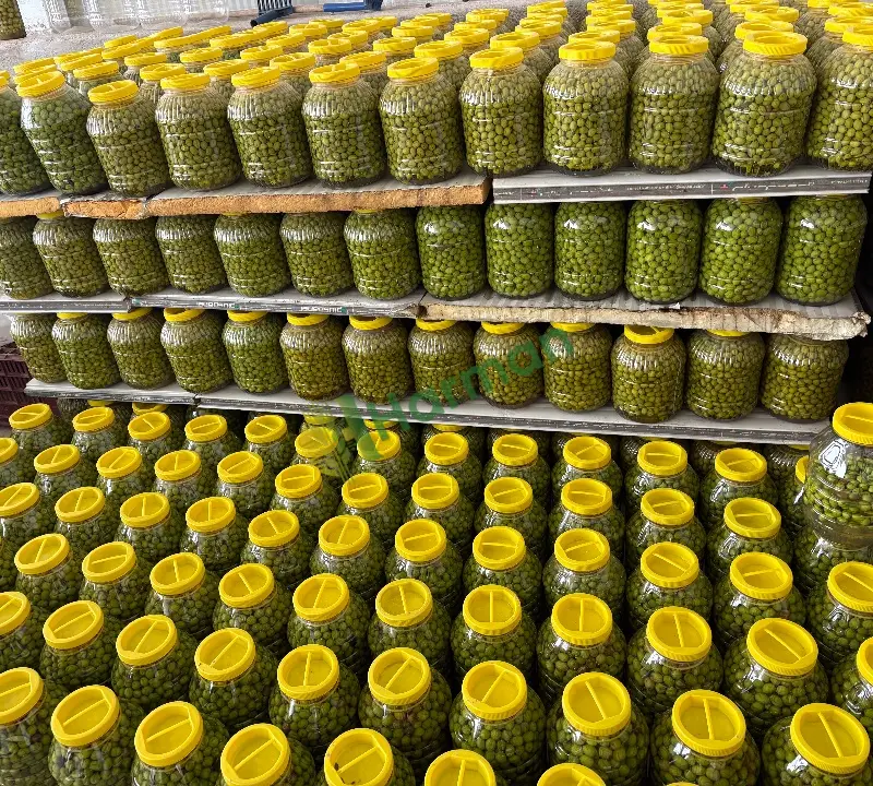 Kırlmıi çizilmiş zeytin