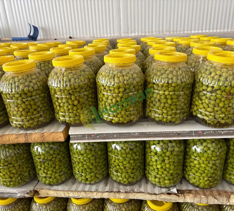 Kırlmıi çizilmiş zeytin