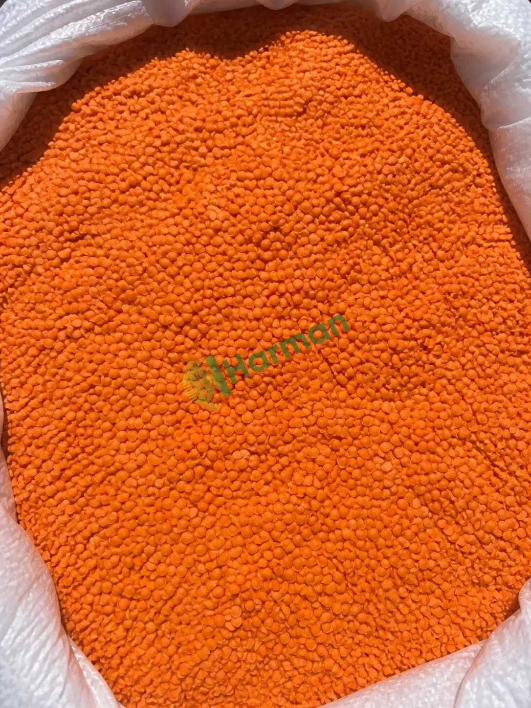 Kırmızı mercimek arıyorum