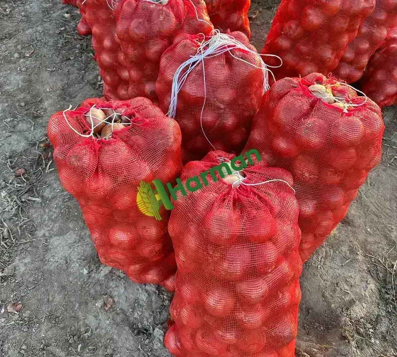Kışlık takoz endefor soğan